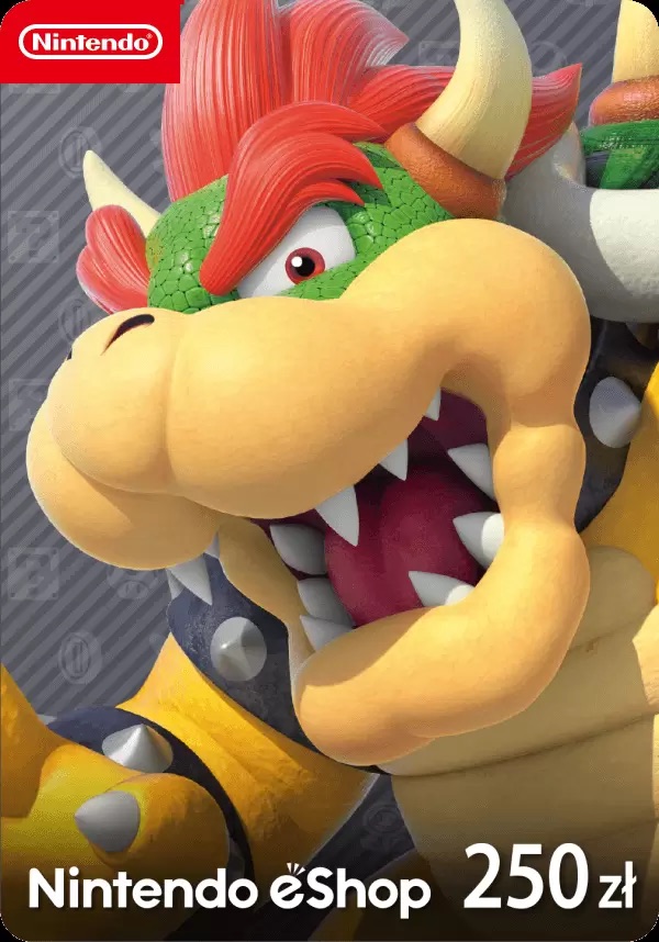 Nintendo eShop Card 250zl